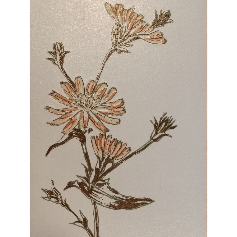 Vtg Italian Chicory Ceramic Tile Botanical Art  Decor measures 5 5/8x7+ Foral